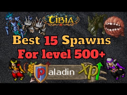 Where to hunt a Level 500 Paladin [Tibia Solo RP]
