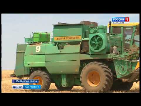 Вести «Калмыкия»: выпуск 27.06.2018 на калмыцком языке