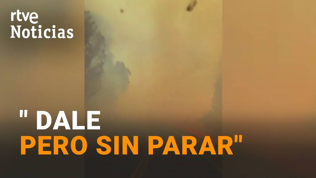 Bomberos de Madrid circulan en medio de las llamas | RTVE Noticias