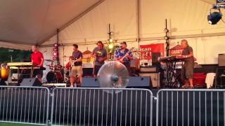 The Sons of Gladys Kravitz - Song of America