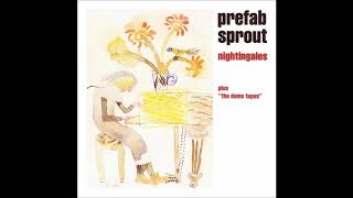 Prefab Sprout Nightingales 12 inch cover instrumental