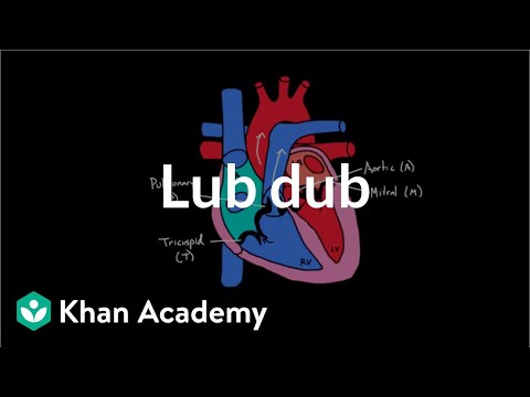 ルブダブ (Lub Dub )