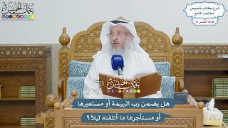 4245 - هل يضمن رب البهيمة أو مستعيرها أو مستأجرها ما أتلفته ليلاً؟ - عثمان الخميس