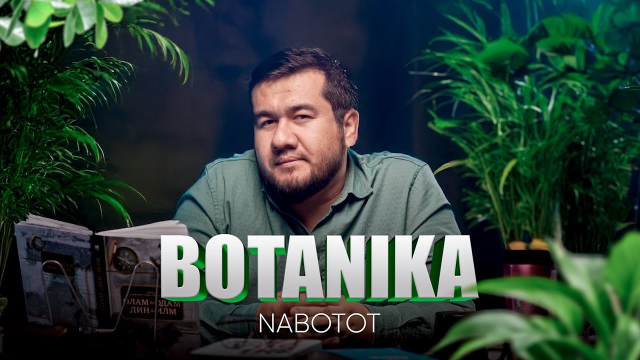 Nabotot ilmining rivoji |  Olam va odam 3-son