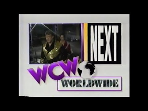 Pretty Wonderful vs Brad & Brian Armstrong   Worldwide June 25th, 1994