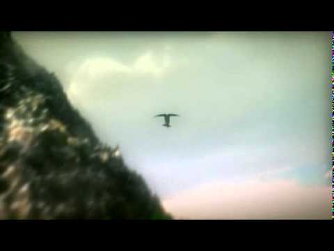 Buchtrailer zu "Sonea. Die Heilerin" von Trudi Canavan - Penhaligon