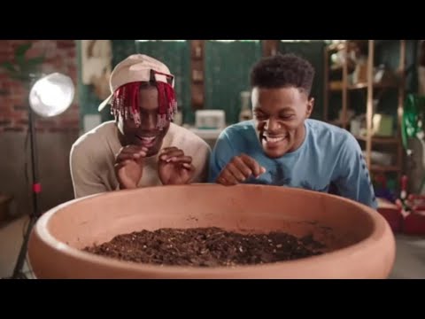 How High 2 Was A Complete Waste Of Time...