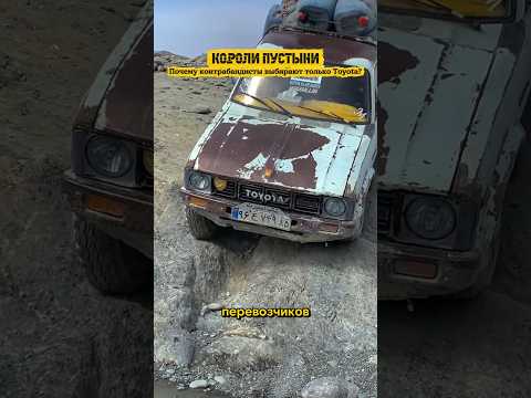 Короли пустыни. Машина контрабандиста