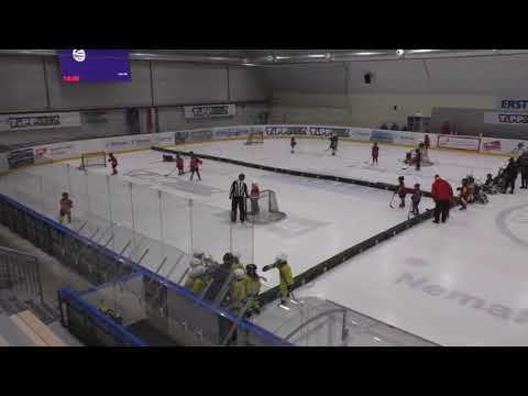 HOCKEY Montage  Áron (3#) ajkai óriások Győr u8 torna  2021.01.24