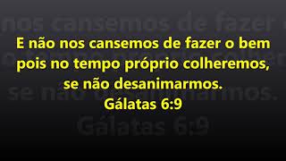 Gesilene Silva-Ainda Bem