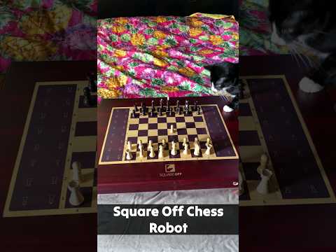 Video cover