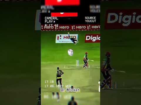 Unbelievable Catches by Wicket keeper 💪 in Cricket History 💥 #cricket #shorts