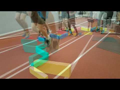 Vielseitiges Sprungkrafttraining