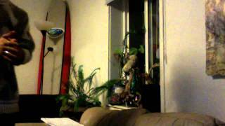 The Wicked and the Wild