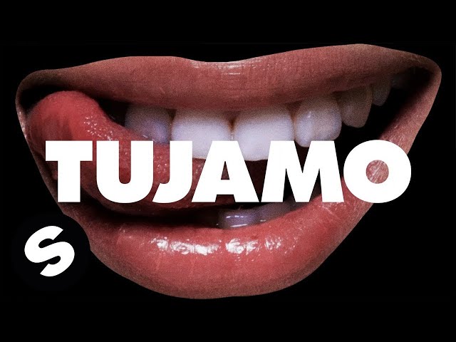 Tujamo - Say What You Wanna (Remix Stems)