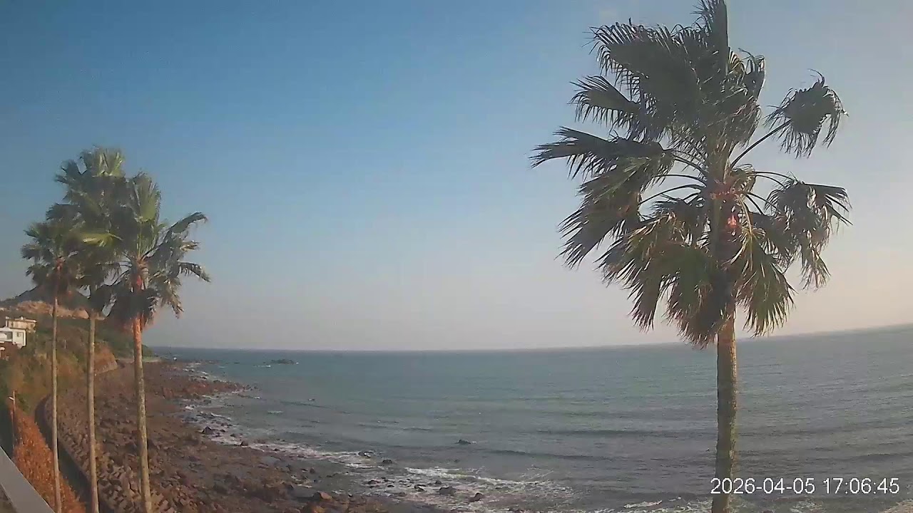 ヤッシーファミリー🌴🌴🌴🌴応援カメラ（鹿児島県枕崎市）フッキー🙋‍♂️👋もたまに・・・