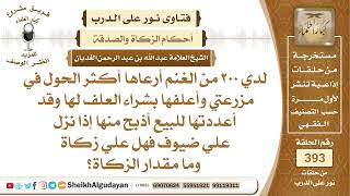 415لدي ٢٠٠ من الغنم أرعاها أكثر الحول في مزرعتي وأعلفها بشراء العلف لها فهل...؟الشيخ عبدالله الغديان image