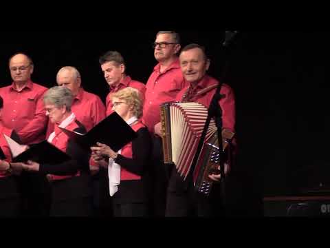 TU SMO DOMA - Pevski zbor DU Šentjernej - harmonika Slavko Frančič