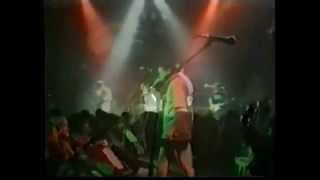 PETER AND THE TEST TUBE BABIES Live 1992