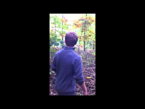 NKDJOA - Frituursong