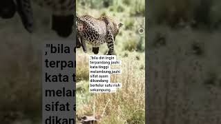 Download lagu quotes.....jauhi kata tinggi melambung... mp3