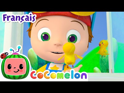 La chanson des cinq sens | CoComelon en Français | Chansons pour bébés