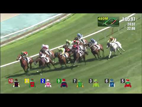 3/4/2022 (550) Precise Express - Derek Leung