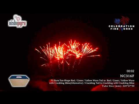 NC316F   Double Performances