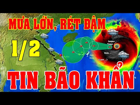 Tin bão Mới Nhất | Dự báo thời tiết hôm nay ngày mai 1/2 | dự báo thời tiết 3 ngày tới#baoso16