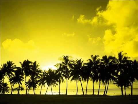Brian Cross - Paradise (Robbie Rivera Juicy Ibiza Remix).wmv