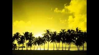Brian Cross - Paradise (Robbie Rivera Juicy Ibiza Remix).wmv