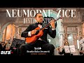 Branko Bako Jovanović NEUMORNE ŽICE RESTLESS STRINGS OFFICIAL VIDEO 2025