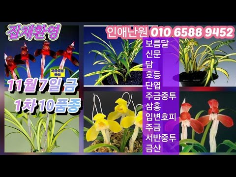유튜브 썸네일