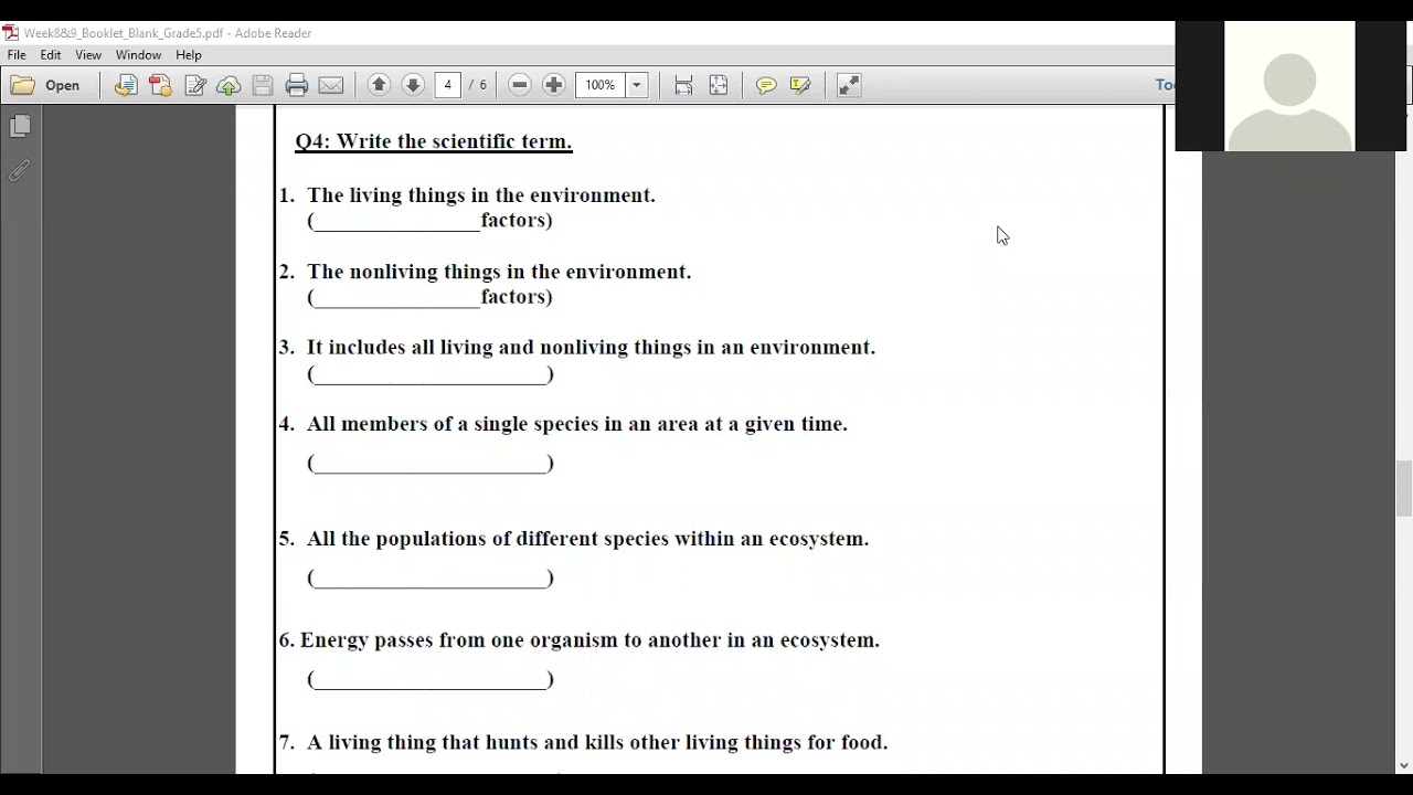 Matter flow in Ecosystems