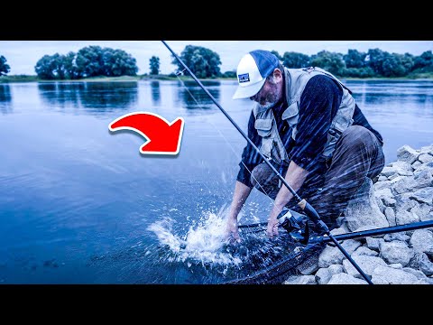 Komplette Anleitung: Zanderangeln mit Wobbler in Dämmerung und Nacht 🎣