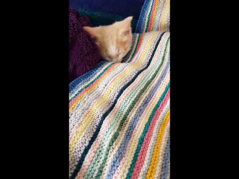vicky Freeman - YouTube
