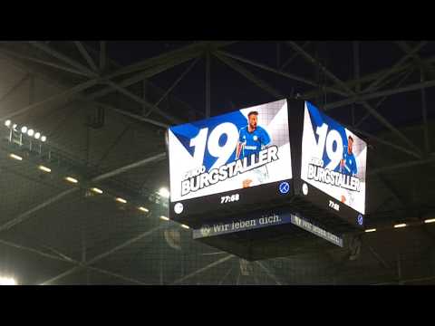 Schalke Hamburg das 2:0