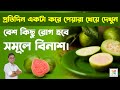 10 magical health benefits of guava. প্রতিদিন পেয়ারা খেলে বেশ কিছু রোগ থেকে মুক্তি পেতে পারেন।