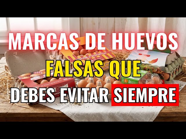 Vídeo relacionado con mundohuevo Jarra de cerveza A los del Atletico no se le tocan los huevos. Cristal esmerilado de primera calidad AAA. 80 x 150 mm. 500 ml