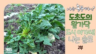 [나는농부다 288회 2부] 도초도의 왈가닥 도시 아가씨! 나는 솔로