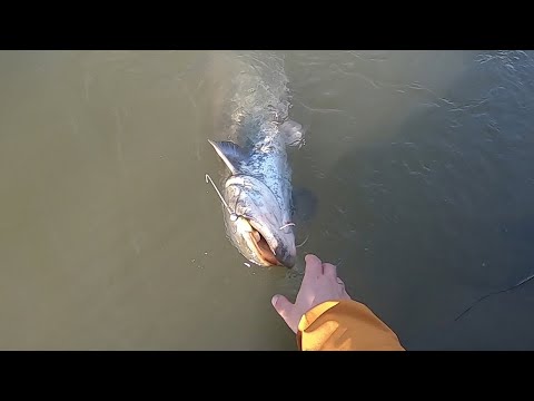 Hooked On Zapadna Morava - Som na gumu