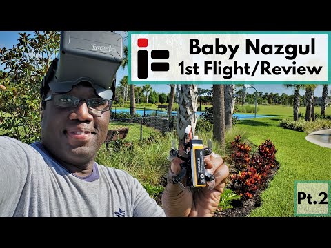Baby Nazgul 1st Flight | Close to Perfection Except 1 Thing