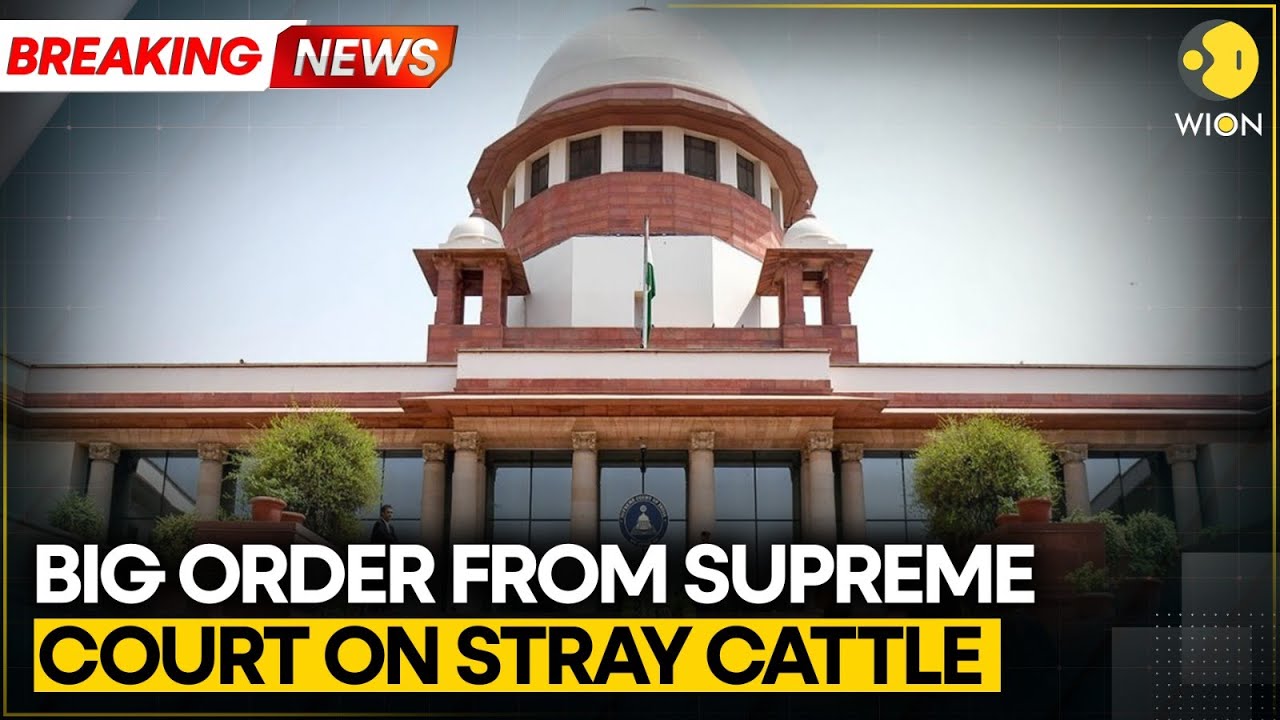 BREAKING: Suprem Court Of India Orders To Remove Stray Cattle From National, State Highways | WION