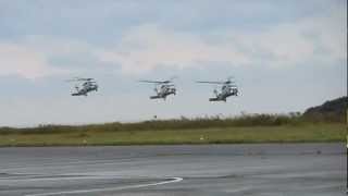preview picture of video '2012ヘリコプターフェスティバル SH-60J 編隊着陸'