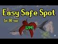 Easy Safe Spot Great White Shark
