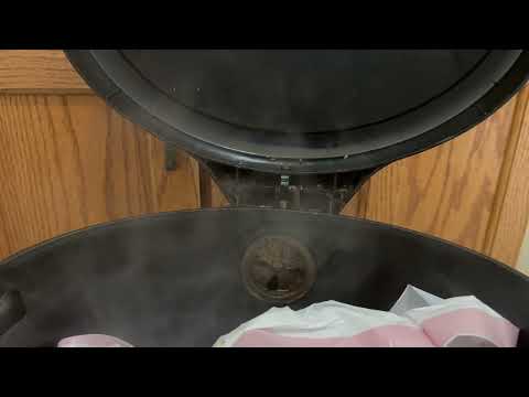 Cockroaches Popping Around the Kitchen in Hillsborough, NJ