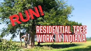 Residential Tree Work in Indiana | Part 3