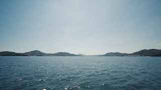 チョイスAbsolute(アブソリュート)コンセプトムービー