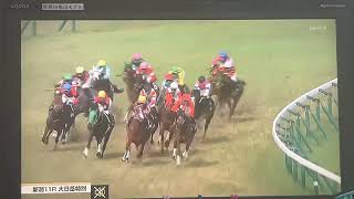 【競馬実況動画2026】第1回新潟競馬7日目11R大日岳特別 2勝クラス マリノトニトゥルス（丸山元気）