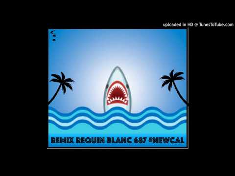 REMIX requin blanc 687 (NBRD)